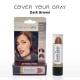 Free Shipping Cover Your Gray Hair Color Touch-Up Stick Instant Haircolor Lipstick Applicator - Dark Brown (3 Pack)