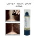 Free Shipping Cover Your Gray Hair Color Touch-Up Stick Instant Haircolor Lipstick Applicator - Jet Black (3 Pack)