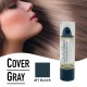 Free Shipping Cover Your Gray Hair Color Touch-Up Stick Instant Haircolor Lipstick Applicator - Jet Black (3 Pack)