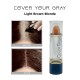 Free Shipping Cover Your Gray Hair Color Touch-Up Stick Instant Haircolor Lipstick Applicator - Light Brown Blonde (3 Pack)