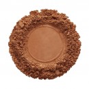 CMP381 NUTMEG CMP381 NUTMEG