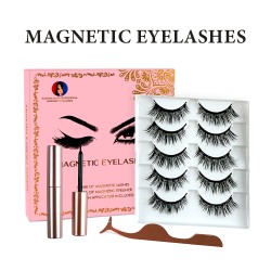 Natural Look Magnetic False Eyelashes With Eyeliner And Applicator 5 Pair Eyelashes Kit Ds19
