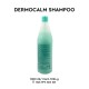Free Shipping Salerm Dermocalm Shampoo 21 - 36.1 oz Free Shipping Salerm Dermocalm Shampoo 21 - 36.1 oz