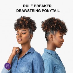 Ebo Instant Pony Synthetic Heat Resistant Draw String Ponytail Rule Breaker Gogo Curl 6" Inch Ebo Instant Pony Synthetic Heat Resistant Draw String Ponytail Rule Breaker Gogo Curl 6" Inch
