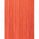 Carrot Red Carrot Red