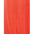 Fire Red Fire Red