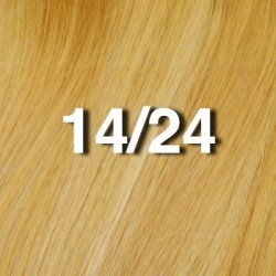 22" clip in - 9pcs 100% human hair extensions - light ash brown/golden blonde (14/24)
