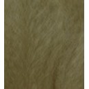 OTBROWN 