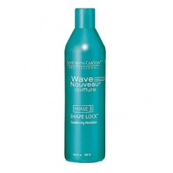 Softsheen Carson Professional Wave Nouveau Texturing System Shape Lock Conditioning Neutralizer 3 16.9 Oz