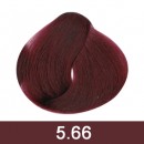  LIGHT  INTENSE RED BROWN CASTANO CLARO ROJO INTENSO -5.66 