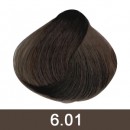 DARK PURE ASH BLONDE RUBIO OSCURO NACRE -6.01 