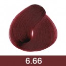  DARK INTENSE RED BLONDE RUBIO OSCURO ROJO INTENSO -6.66 