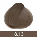 8.13 