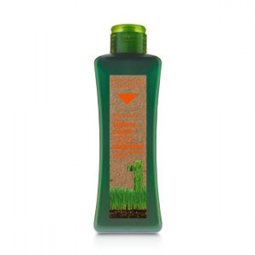 Salerm Biokera For Treated Hair Shampoo 10.8oz Salerm Biokera For Treated Hair Shampoo 10.8oz