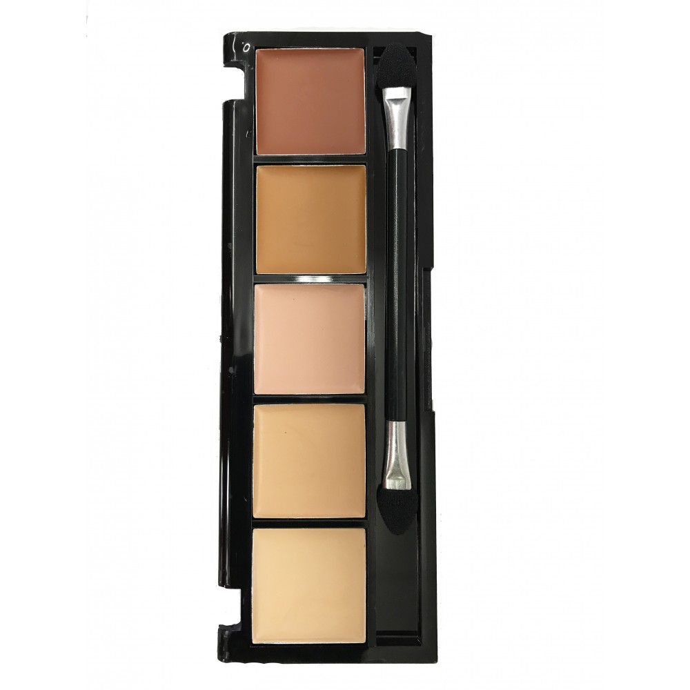 Ebo Ashley Lee Corrective Concealer Palette 5 Shade