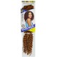 Beauty Element Synthetic Hair Crochet Braid Water Wave Bulk 10