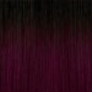 TT1B/EGPLN  + $25.00 