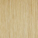 GOLD/BLOND (Stock Out) GOLD/BLOND