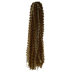 Freetress Synthetic Hair Crochet Braids Bohemian Braid  20"