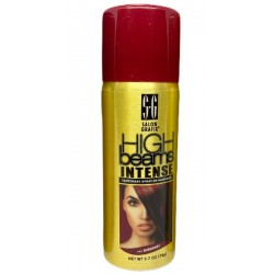Salon Grafix High Beams Intense Temporary Spray On Hair Color #40 Burgundy Salon Grafix High Beams Intense Temporary Spray On Hair Color #40 Burgundy