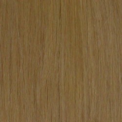 16" clip in - 9pcs 100%  human hair extensions - off ash blonde (l22) 