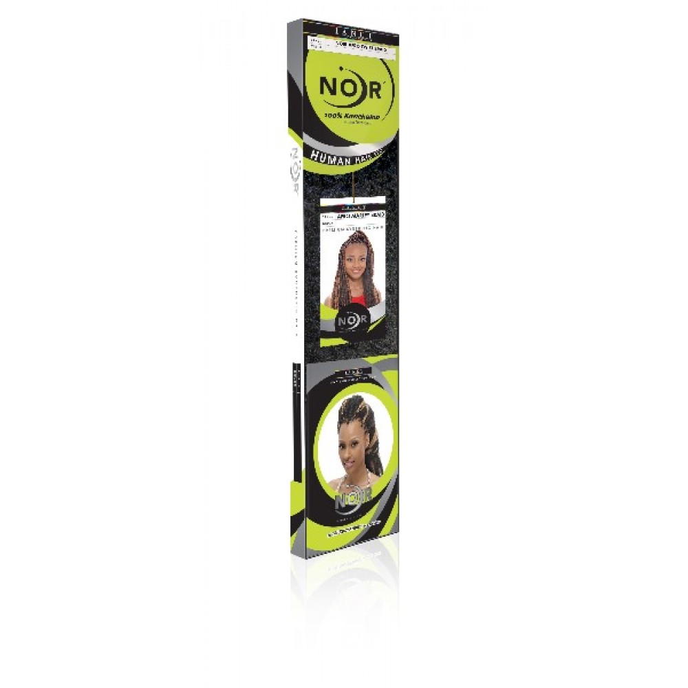 Janet Collection Noir Synthetic Hair Crochet Braid Afro Twist Braid