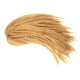 Janet Collection Noir Synthetic Hair Crochet Braid Afro Twist Braid