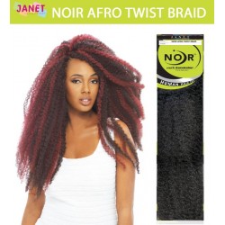 Janet Collection Noir Synthetic Hair Crochet Braid Afro Twist Braid 