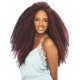 Janet Collection Noir Synthetic Hair Crochet Braid Afro Twist Braid