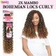 Janet Collection Synthetic Hair Crochet Braid Loop 2x Mambo Bohemian Locs Curly 18