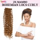Janet Collection Synthetic Hair Crochet Braid Loop 2x Mambo Bohemian Locs Curly 18