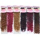 Janet Collection Synthetic Hair Crochet Braid Loop 2x Mambo Bohemian Locs Curly 18