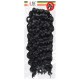 Mane Concept Afri Synthetic Hair Crochet Braid Kc04 Sassy Curl