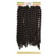 Mane Concept Afri Synthetic Hair Crochet Braid Loop 2x Pre Stretched Juicy Twist 12