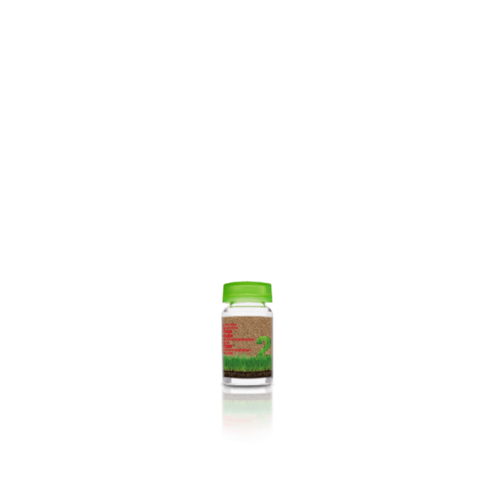 salerm biokera intensive hair loss treatment