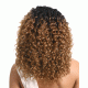 Sensationnel Empress Synthetic Custom Lace Wig Envy Curl