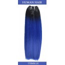 TT1B/BLUE 
