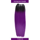 TT1B/PURPLE 
