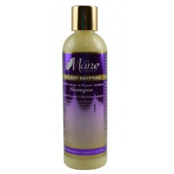 The Mane Choice Ancient Egyptian Anti Breakage And Repair Antidote Shampoo 8 Oz The Mane Choice Ancient Egyptian Anti Breakage And Repair Antidote Shampoo 8 Oz