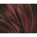 TTRED (+$7.00) TTRED + $7.00